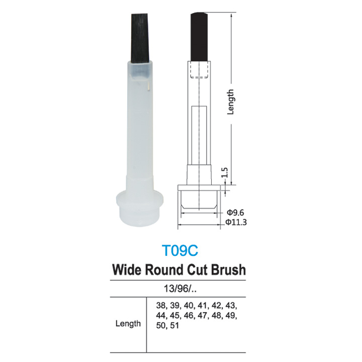 t09c